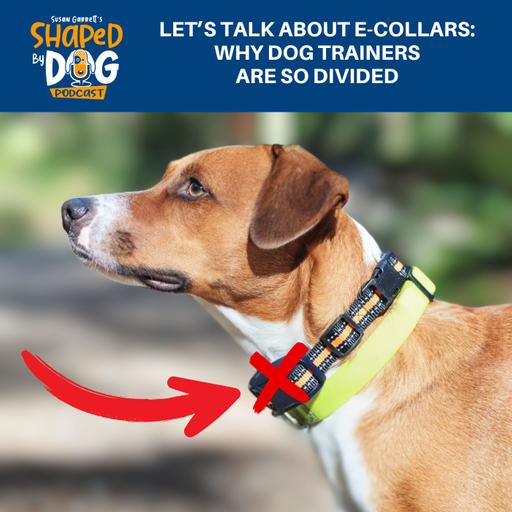 Let’s Talk About E-Collars: Why Dog Trainers Are So Divided #304