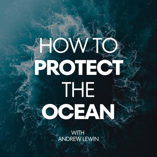 Octopus Ocean Book: Exploring the Genius Minds Beneath the Waves with Mark Leiren-Young