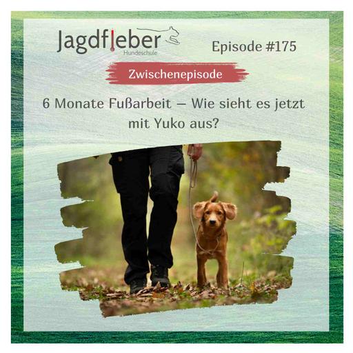 P175: 6 Monate Fußarbeit – Wie sieht es jetzt mit Yuko aus?