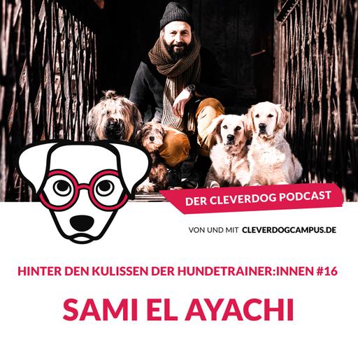 Sami El Ayachi – Hinter den Kulissen der Hundetrainer:innen #16