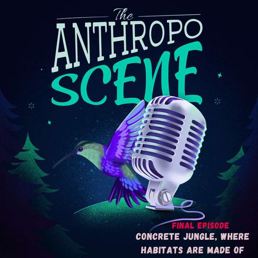 Concrete Jungle, Where Habitats Are Made of - Goodbye For Now Episode