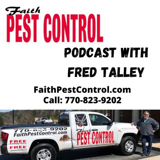 Allegheny Mound Ants in North Georgia and Jasper?