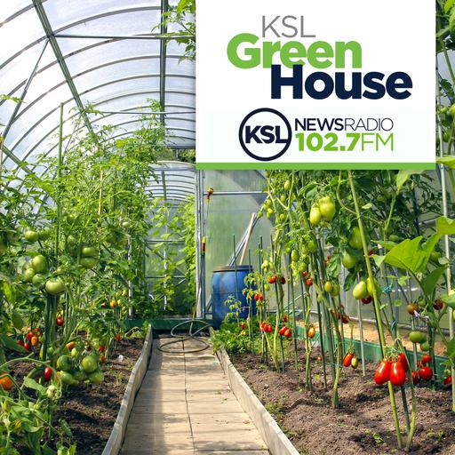 KSL Greenhouse Full Show 5/3/25