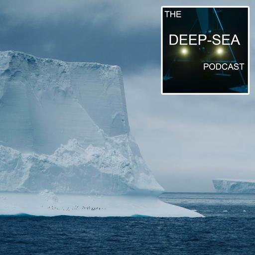 Antarctic ice-seabed interactions
