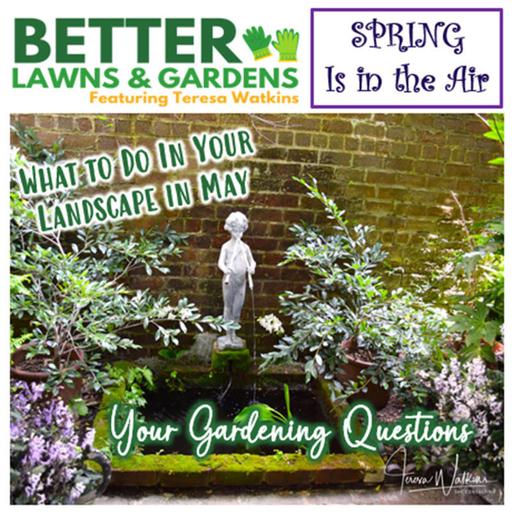 S2 Ep355: Better Lawns and Gardens - Hour 2 May Gardening Questions May 3, 2025
