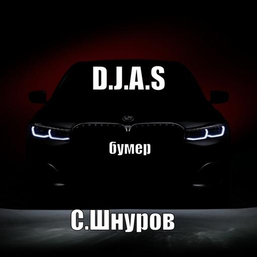 D.J.A.S & Сергей.Шнуров- бумер 2025