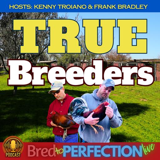 Ep245 - Embrace the Journey – The Benefits and Challenges of Becoming a True Breeder