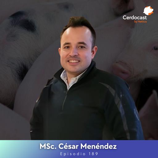 #189 - Estrategias clave para optimizar costos en plantas de alimentos - MSc. César Menéndez