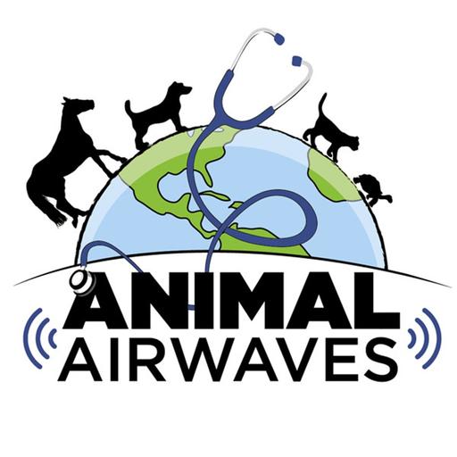 Ensuring that animal-assisted interventions work for people and animals