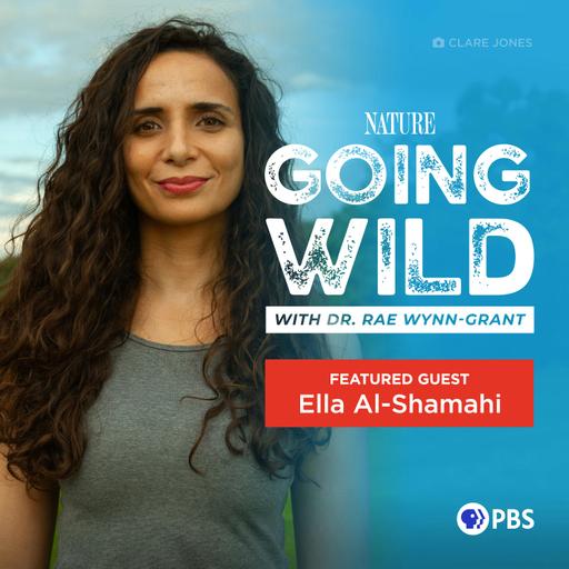 Fossil Hunting in Conflict Zones