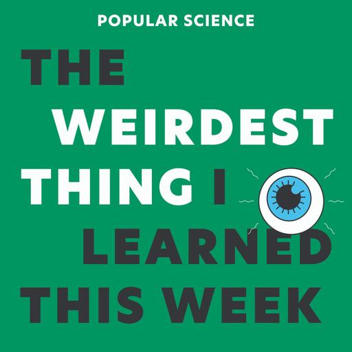 Time Balls, Bug Culture, Traffic Mimes