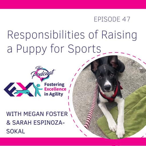 Responsibilities of Raising a Puppy for Sports