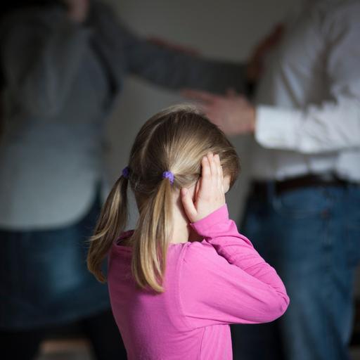 Die Entfremdungs-Lüge - Wie rechte Netzwerke das Familienrecht unterwandern