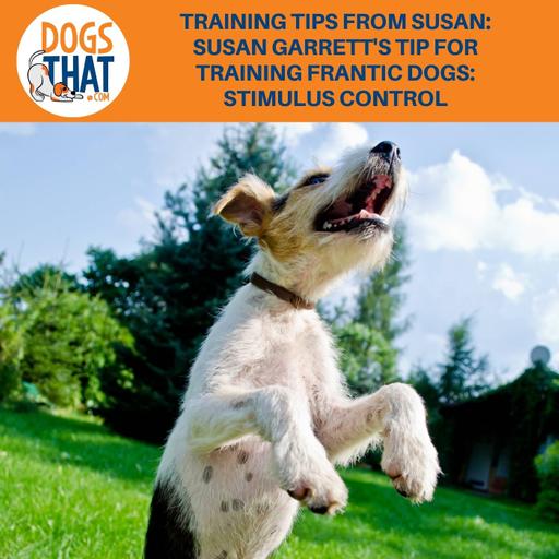 Training Tips From Susan: Susan Garrett's Tip For Training Frantic Dogs: Stimulus Control