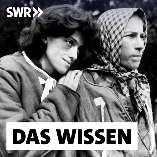 Traumata der NS-Zeit – Wie sie Kriegskinder und Enkel belasten
