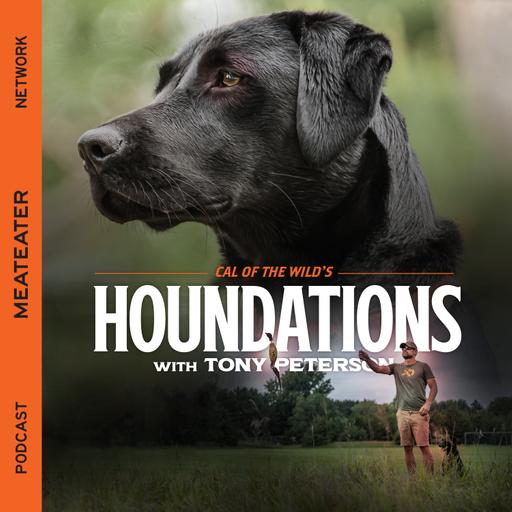 Ep. 373: Houndations - How Understanding Positive Associations Helps You Train Your Dog