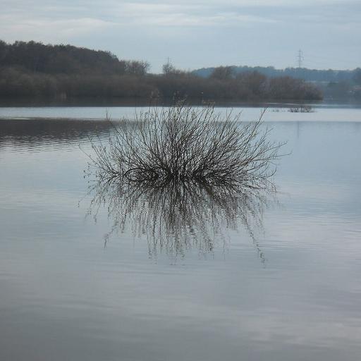 Episode 190 – Here Be Shrubs: On Algernon Blackwood's 'The Willows'