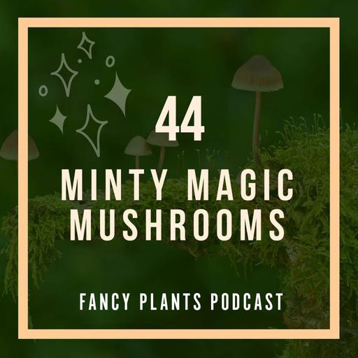 44. Minty Magic Mushrooms