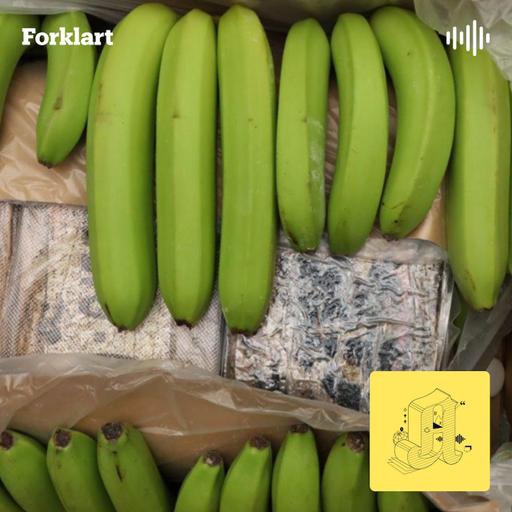Bananer og Airtags: Slik smugles kokainen til Norge