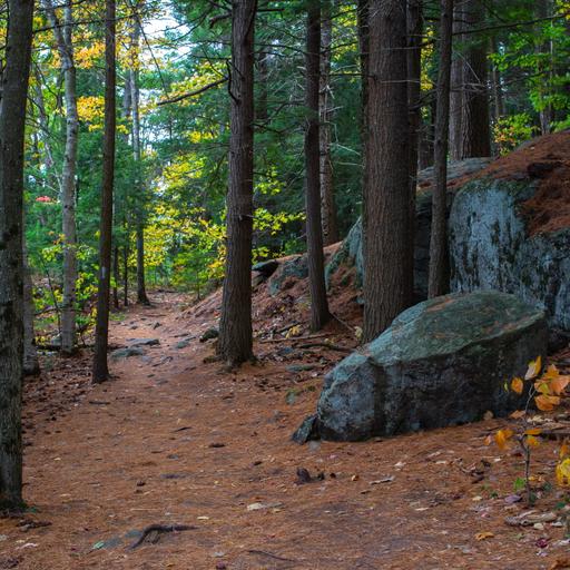 A Return to the Zendo
