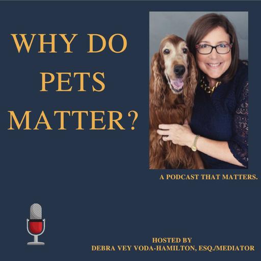 Finding the Third Way: Conflict, Compassion, and Why Pets Matter with Amanda Ripley