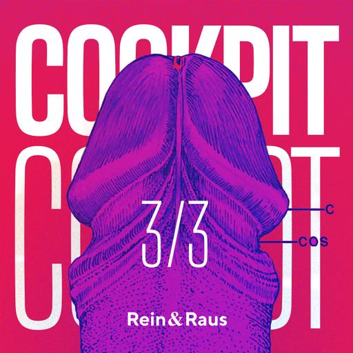 #238 › COCKPIT 3/3: Sind Erektionsprobleme körperlich oder psychisch? Die 6 Ebenen von Erektionsstörungen entschlüsselt