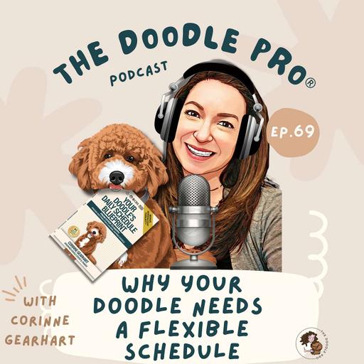 69: Why Your Doodle Needs a Flexible Daily Schedule (Not a Rigid Routine)