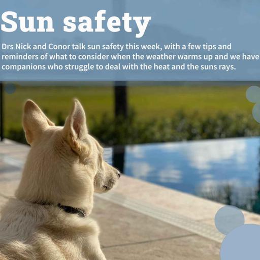 Sun safety