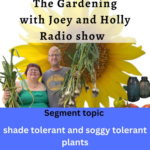 Episode 1378: Seg 2 S9E10 Shade and soggy tolerant plants - The Gardening with Joey and Holly Radio Show