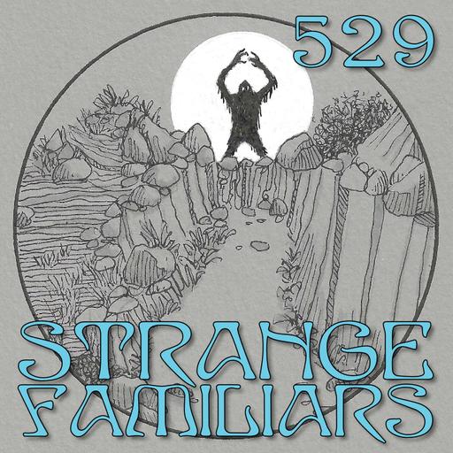 An Assembly of Oddities - 5