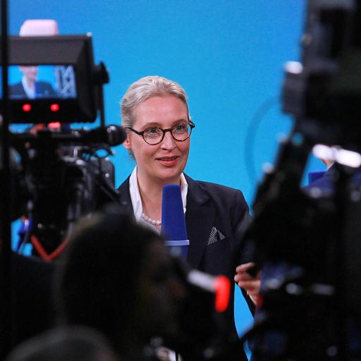 Kommentar - Wie Journalisten Interviews mit der AfD führen sollten