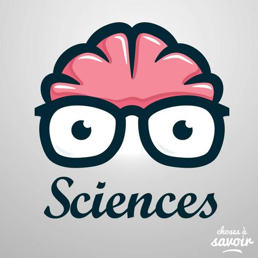 Comment le chat de Schrödinger a-t-il été réchauffé ?