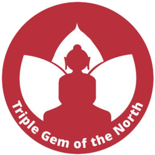 What is the Buddhist's and Meditator's Perspective on Protest?