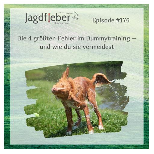 P176: Die 4 größten Fehler im Dummytraining – und wie du sie vermeidest