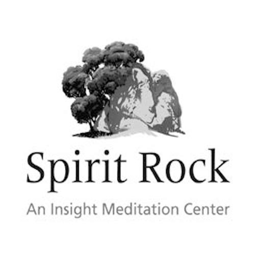 Donald Rothberg: Guided Meditation: Exploring Emotions and Thoughts Connected to Contemporary Social and Political Events 2