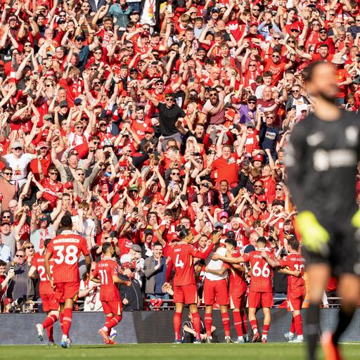 #217 Fußball-Fans lösen Erdbeben aus - Richterskala | Warum grade Eichhörnchen von den Bäumen fallen