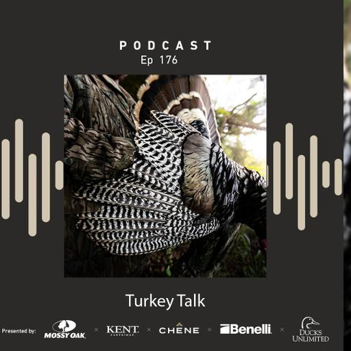 Ep 176 - Shop Roundup