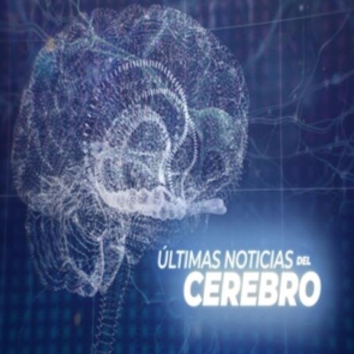 Cuarto Milenio: Últimas noticias del cerebro