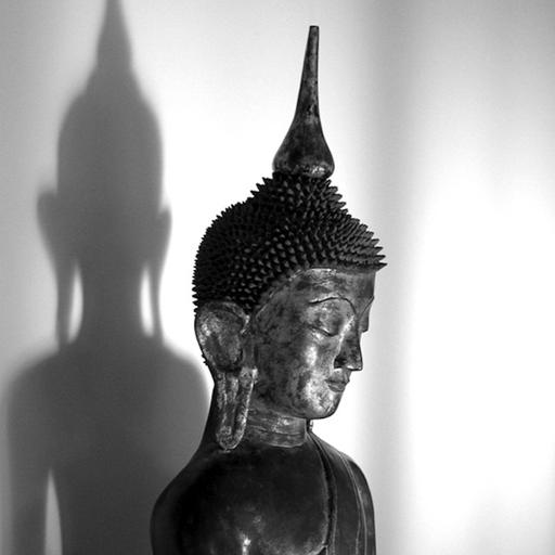 Andrea Fella: Morning Reflections: Conditionality