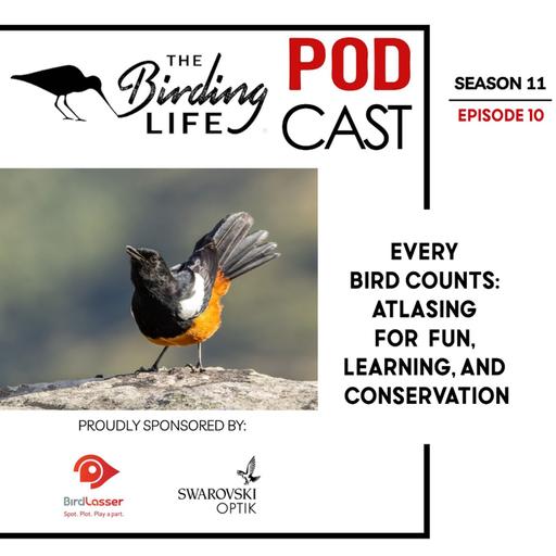 TBL Podcast Season 11 Episode 10 - Every Bird Counts Atlasing for Fun, Learning, and Conservation
