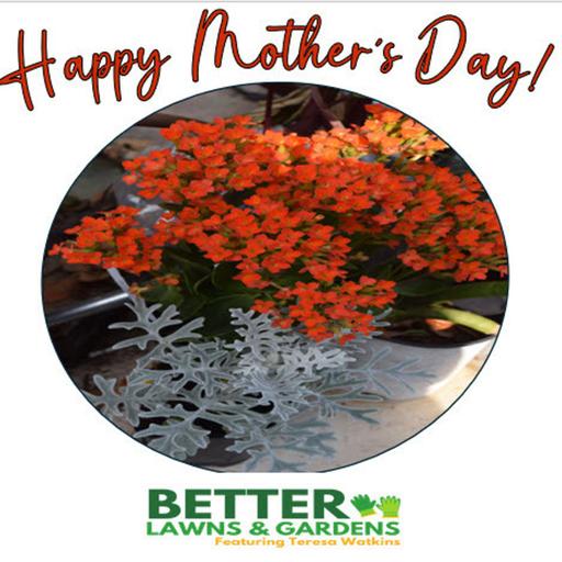 S2 Ep356: Better Lawns and Gardens - Hour 2 Mother's Day May 10, 2025
