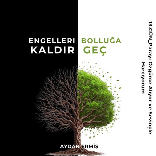 13.GÜN_Parayı Özgürce Alıyor ve Sevinçle Harcıyorum