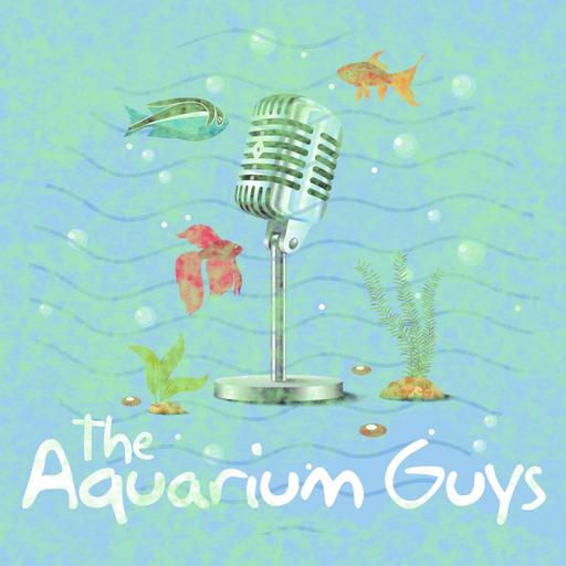 #115 – Phytoplankton (Saltwater)