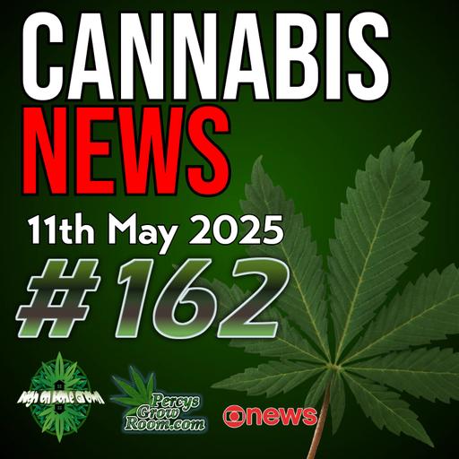 RIP - Tributes to Hannah Deacon, UK Medical Cannabis Campaigner | €10m Cannabis Seizure from Pilot! | Nebraska Opposes MMJ Bill | Cannabis News Episode 162