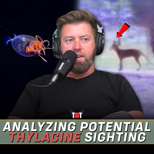 Analyzing Potential Thylacine Footage, Ocean Monster Filmed, & Gorilla vs Bear Fight
