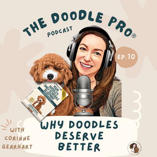 70: Why Doodles Deserve Better: The Book That Brings Calm to Chaos