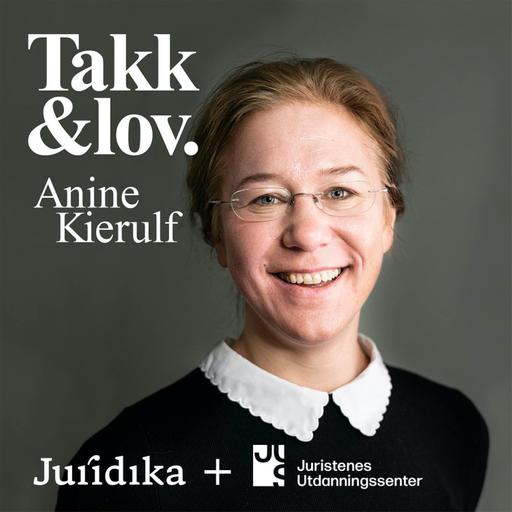 Anine er alene med Grunnloven, Facebook og Tiktok