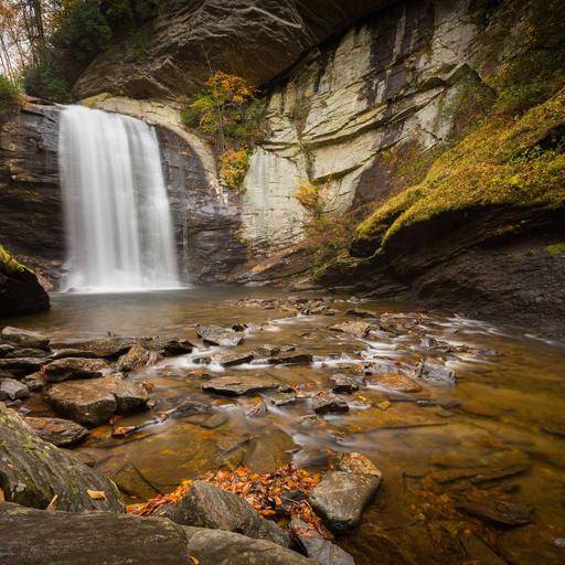 White Squirrels, Waterfalls, And More Brevard, NC, Magic With Clark Lovelace