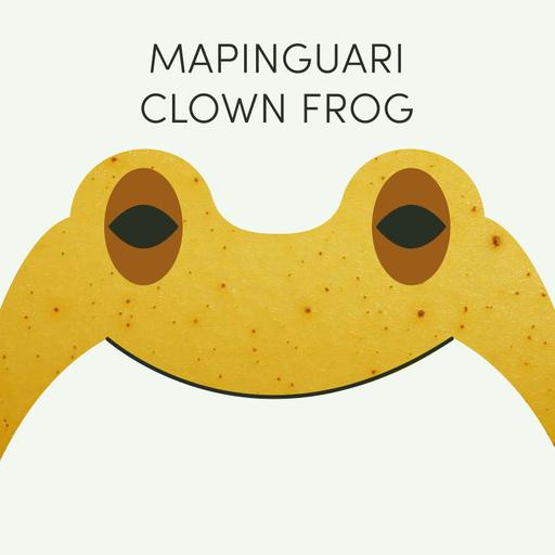 Mapinguari Clown Frog | Week of May 12th
