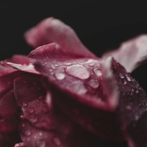Wimpy Theology Makes Vulnerable Women